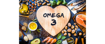 ¿Qué son los ácidos grasos Omega 3 y por qué son importantes?