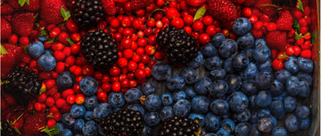 Resveratrol: El antioxidante que tu cuerpo necesita